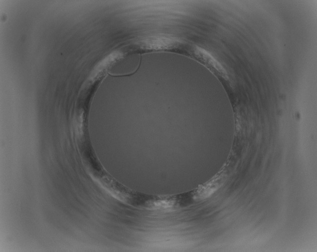 X0000072990163200607211208