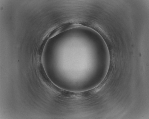 X0000072990164200607211208