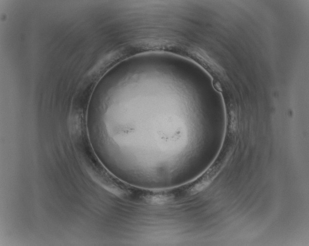 X0000072990165200607211208