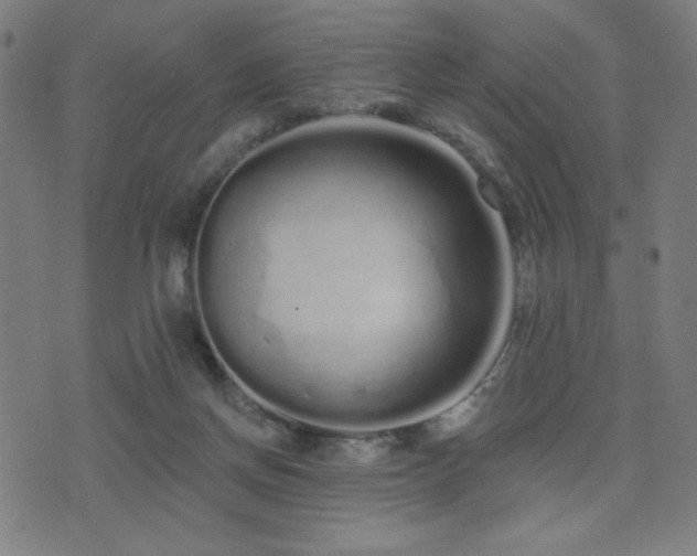 X0000072990166200607211208