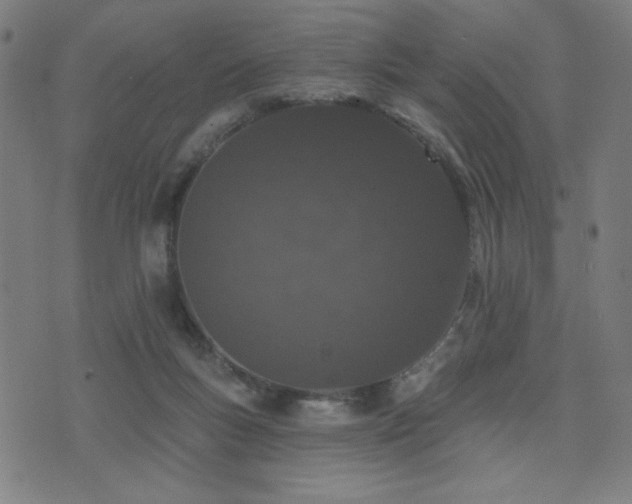 X0000072990167200607211208