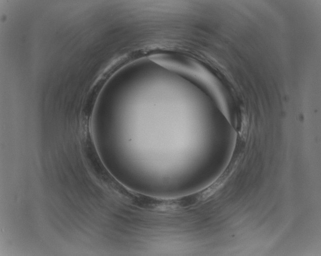 X0000072990168200607211208