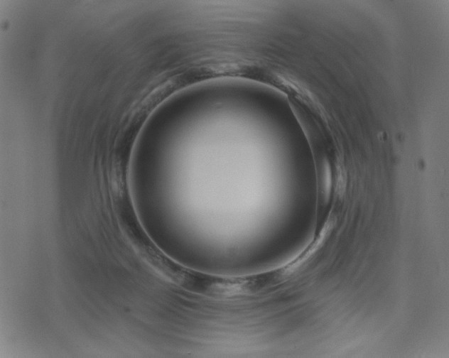 X0000072990170200607211208