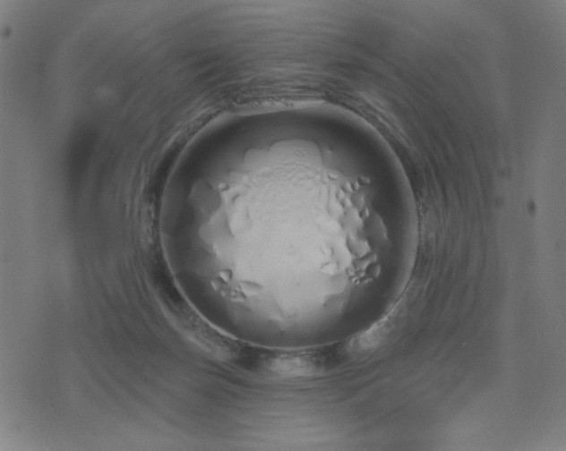 X0000072990171200607211208