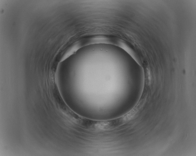 X0000072990172200607211208