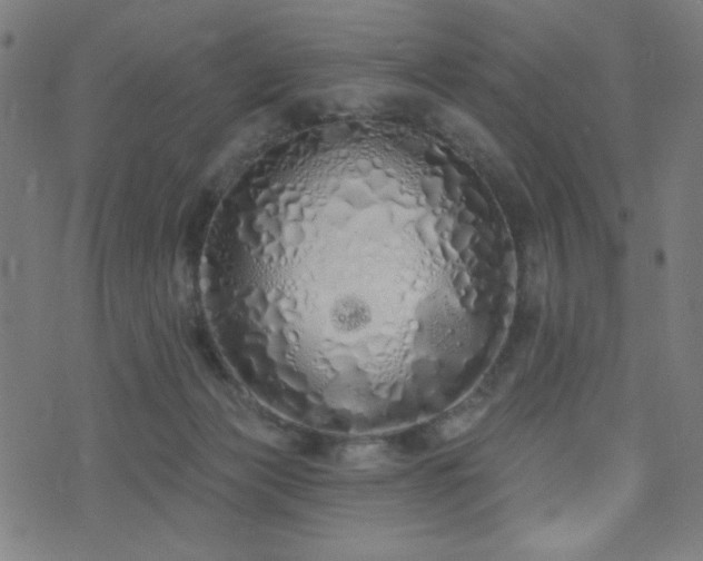 X0000072990173200607211208