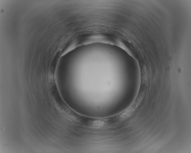 X0000072990176200607211208