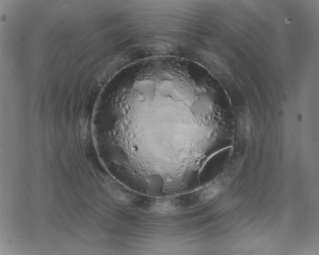 X0000072990177200607211208