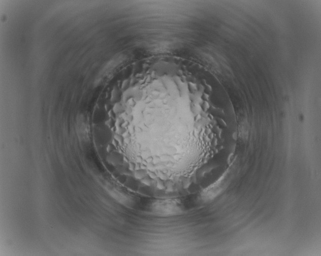 X0000072990179200607211208