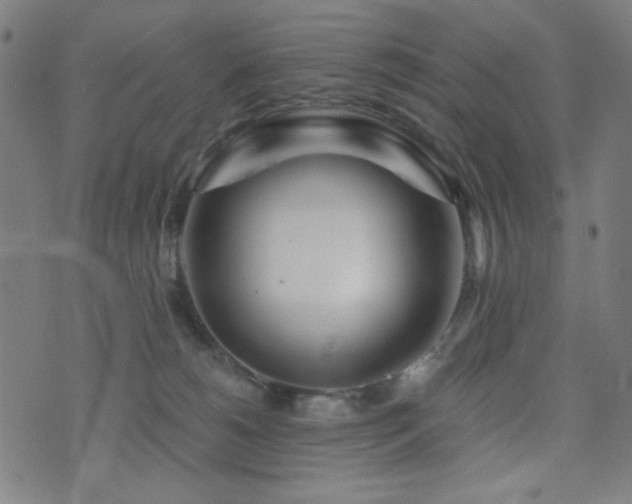 X0000072990180200607211208