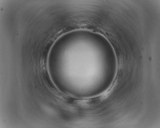 X0000072990182200607211208