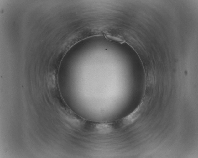 X0000072990183200607211208