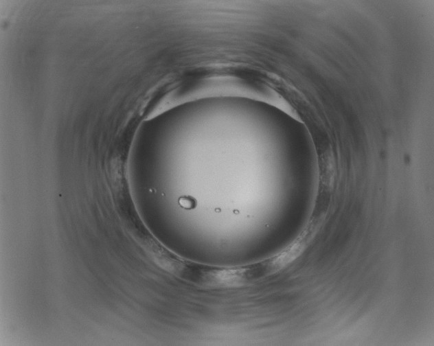 X0000072990184200607211208