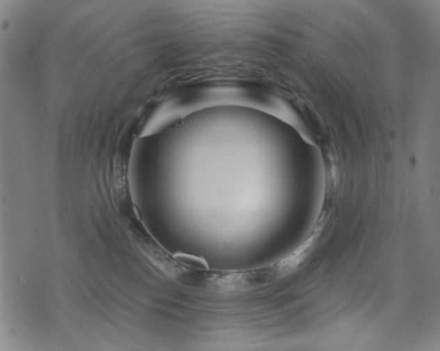 X0000072990186200607211208