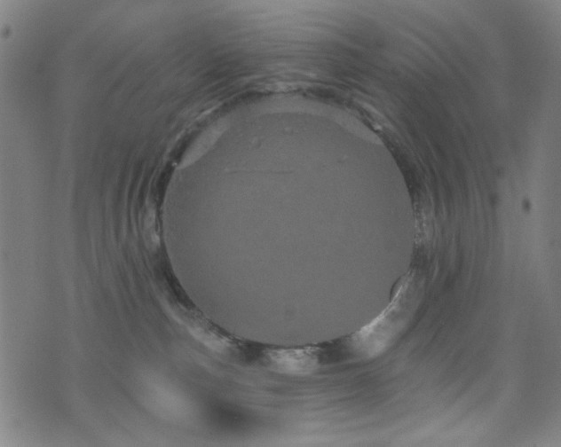 X0000072990187200607211208