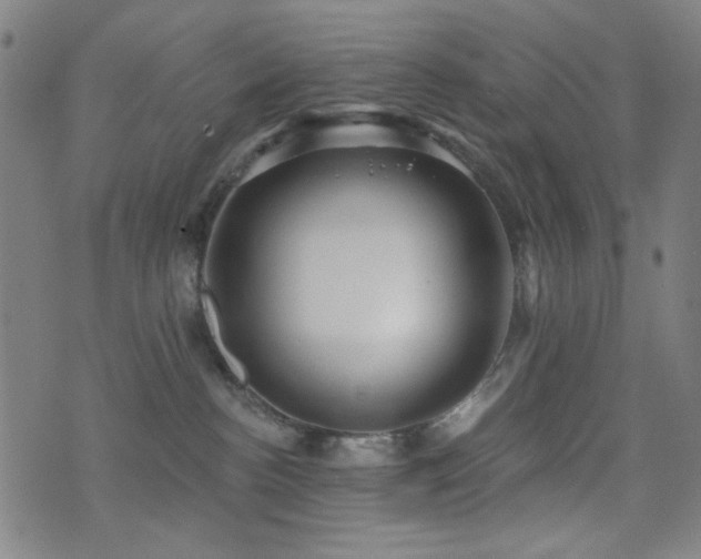 X0000072990188200607211208