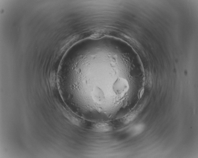 X0000072990189200607211208