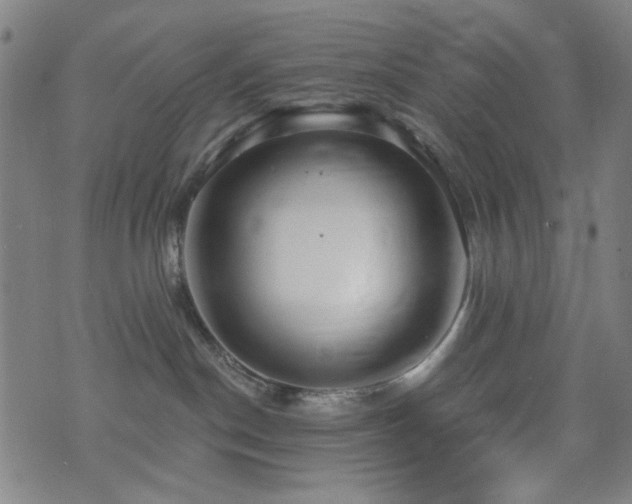 X0000072990190200607211208