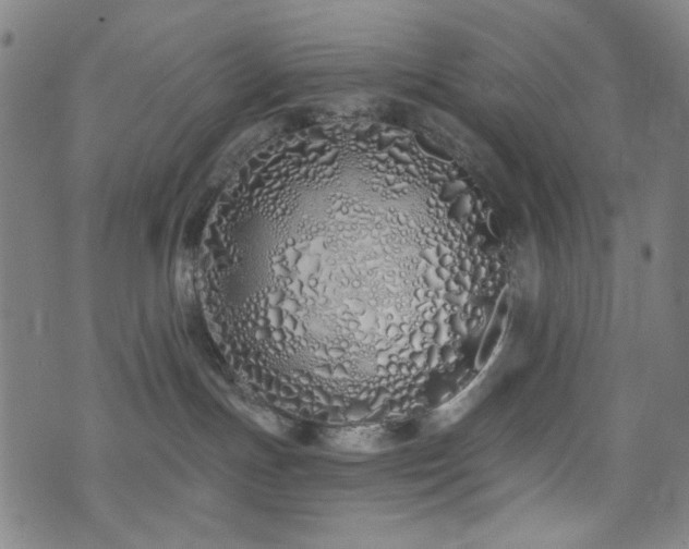 X0000072990191200607211208