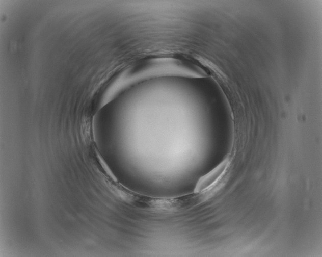 X0000072990192200607211208