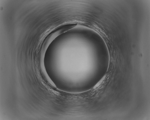 X0000072990193200607211207