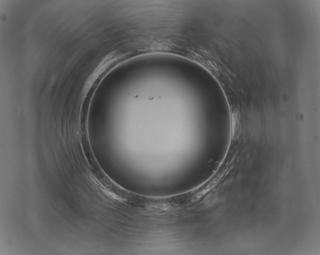 X0000072990195200607211207