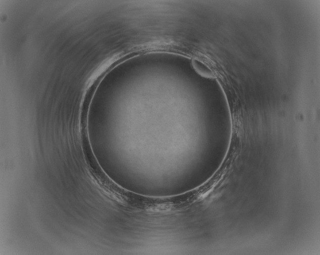 X0000072990196200607211207