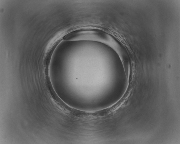 X0000072990197200607211207