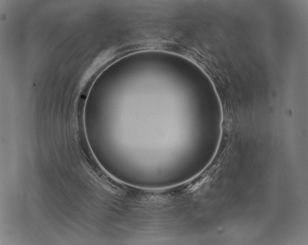 X0000072990198200607211207