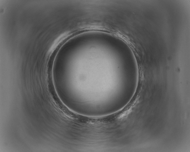 X0000072990199200607211207