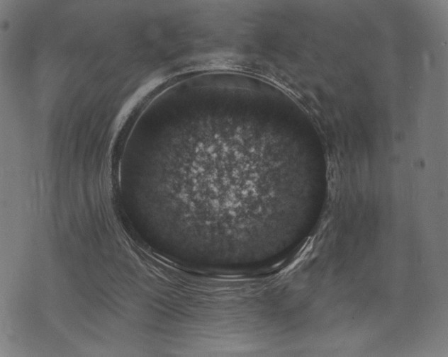 X0000072990200200607211207