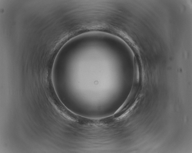 X0000072990201200607211207