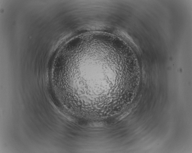 X0000072990202200607211207