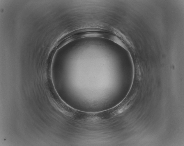 X0000072990203200607211207