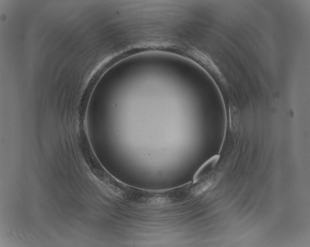 X0000072990204200607211207