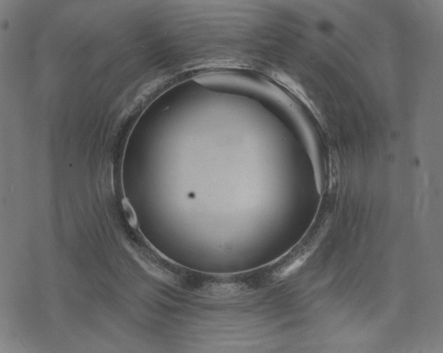 X0000072990205200607211207