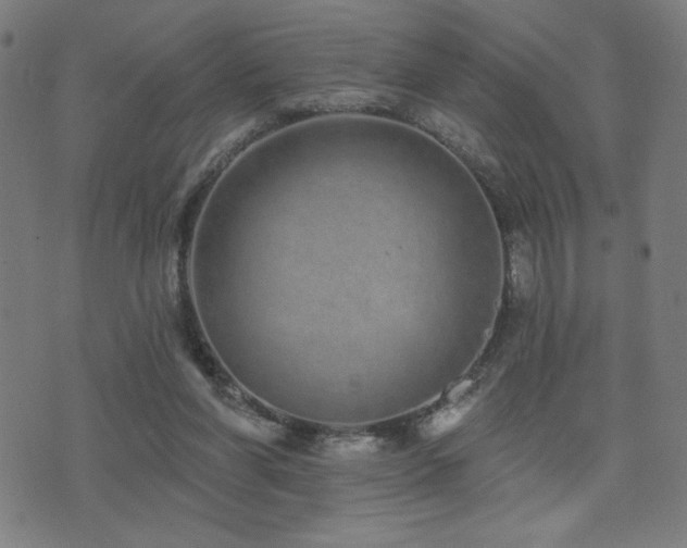 X0000072990206200607211207