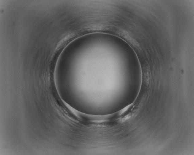 X0000072990207200607211207