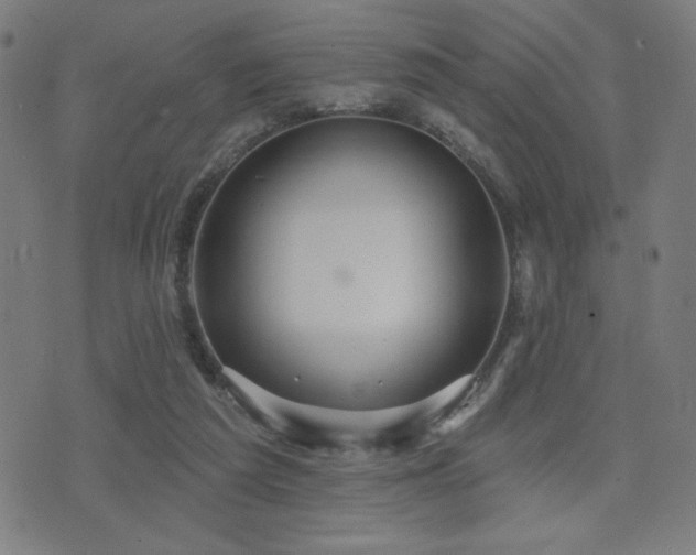 X0000072990209200607211207