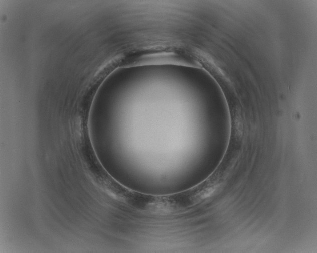 X0000072990211200607211207