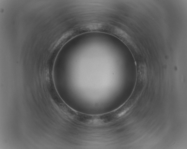 X0000072990212200607211207