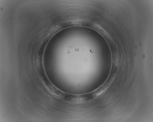 X0000072990213200607211207