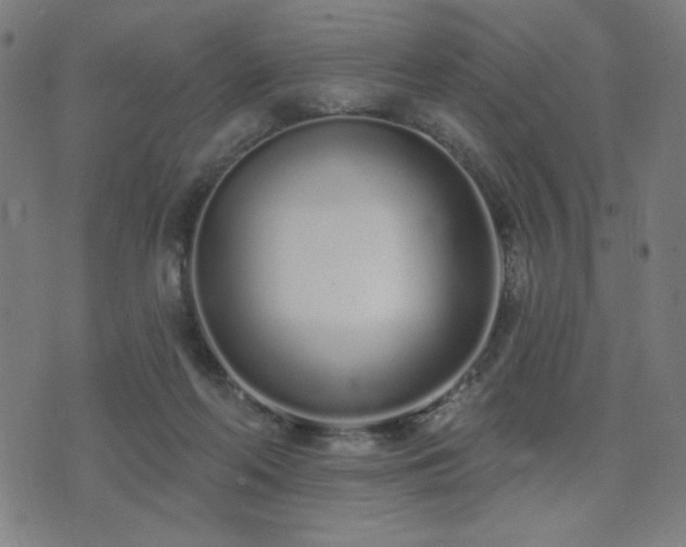 X0000072990214200607211207