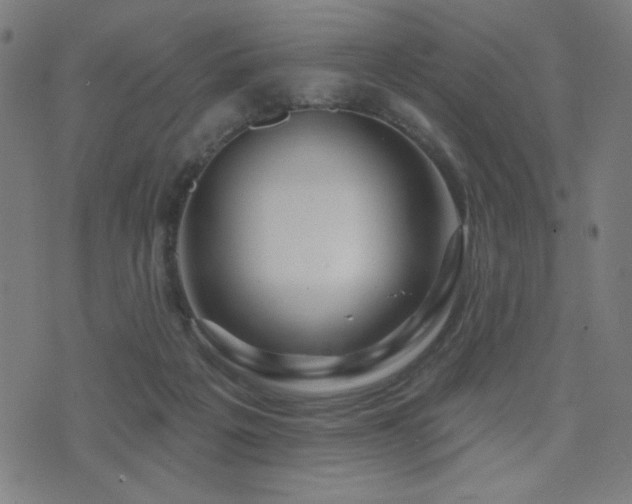 X0000072990217200607211207