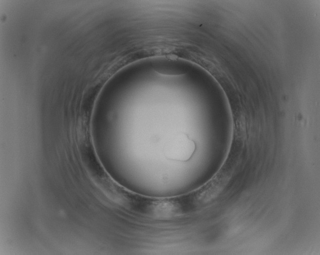 X0000072990218200607211207