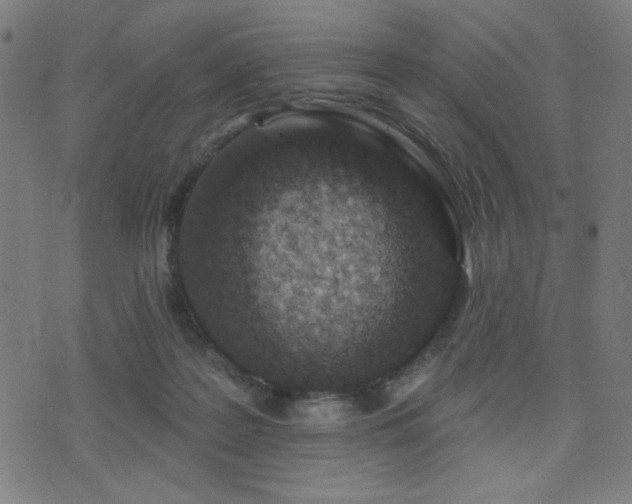 X0000072990219200607211207