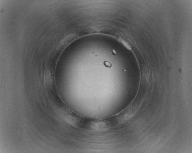 X0000072990220200607211207