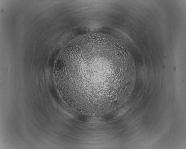 X0000072990222200607211207