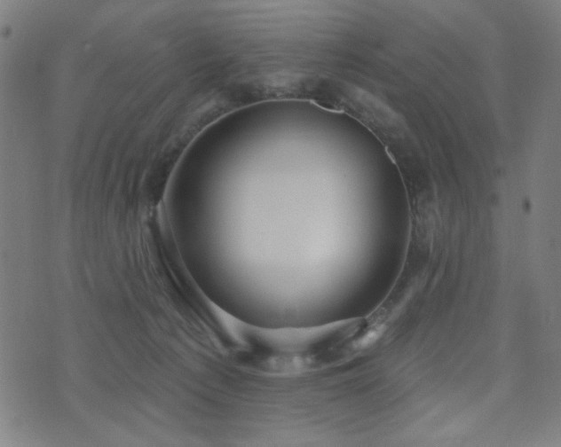 X0000072990225200607211207