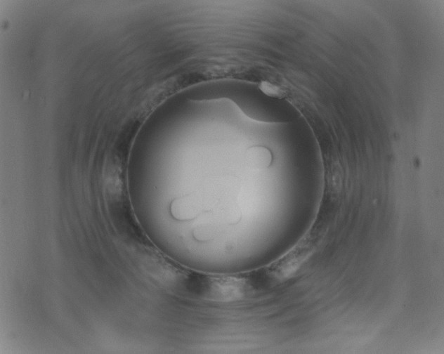 X0000072990226200607211207